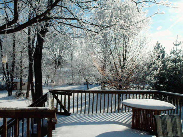 Backyard view2010